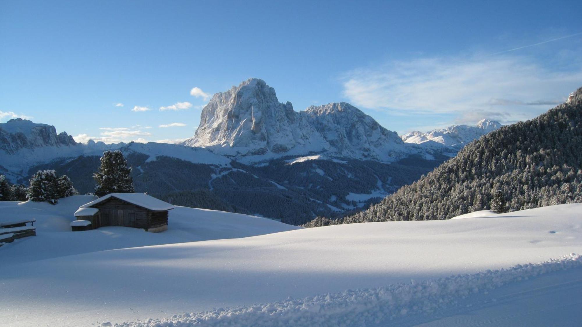 Dolomie *